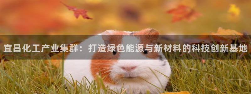 球盟会游戏几点玩合适