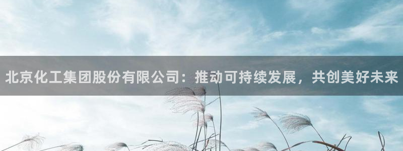 球盟会在线官网：北京化工集团股份有限公司：推动可持续发展，共