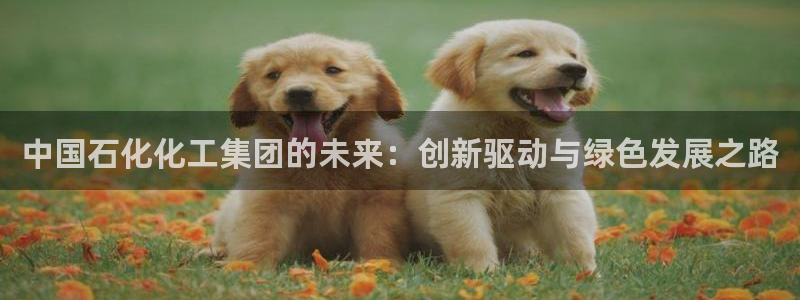 球盟会最新地址备用：中国石化化工集团的未来：创新驱动与绿色发