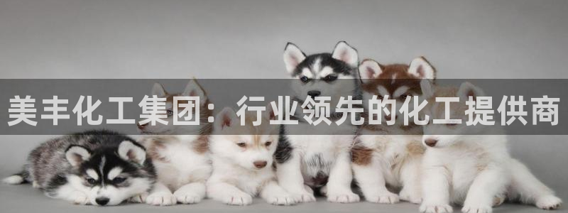 球盟会里面有打牌的嘛知乎：美丰化工集团：行业领先的化工提供商