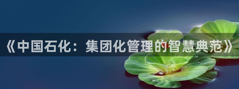 球盟会：《中国石化：集团化管理的智慧典范》