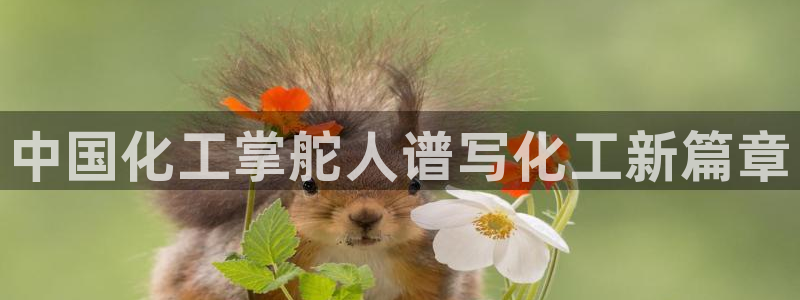 球盟会下款快吗：中国化工掌舵人谱写化工新篇章