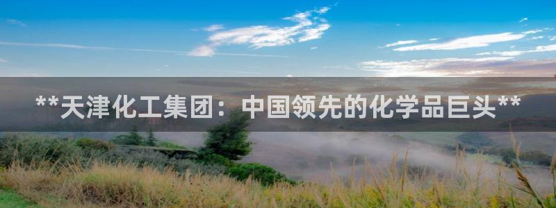 球盟会中国网页登录：**天津化工集团：中国领先的化学品巨头*