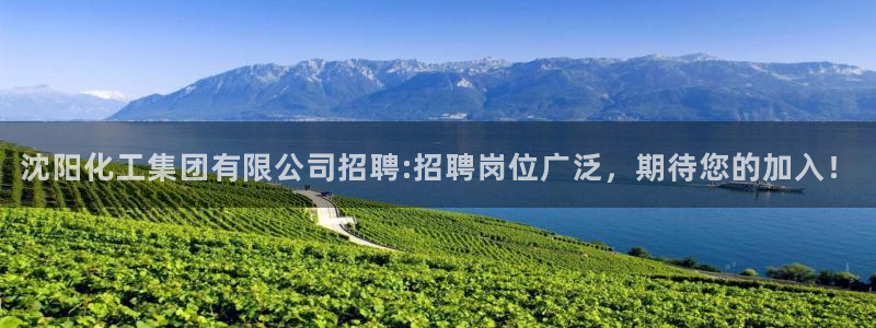 球盟会app：沈阳化工集团有限公司招聘:招聘岗位广泛，期待您