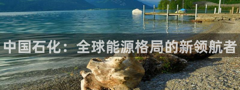 球盟会能退钱吗知乎：中国石化：全球能源格局的新领航者