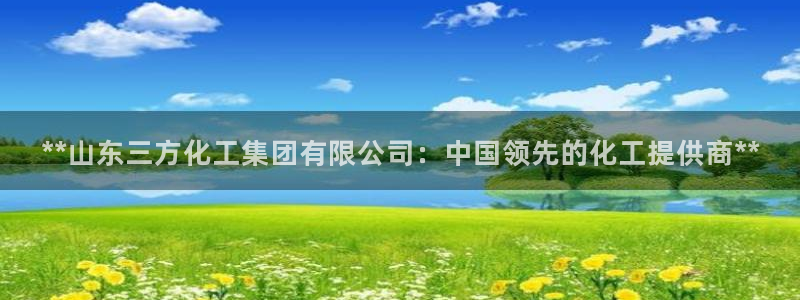 球盟会黑款吗知乎文章：**山东三方化工集团有限公司：中国领先