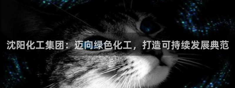 球盟会黑款吗是真的吗