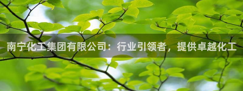 球盟会电子好黑：南宁化工集团有限公司：行业引领者，提供卓越化