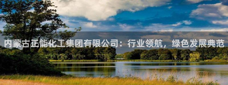 球盟会官方网站入口：内蒙古正能化工集团有限公司：行业领航，绿