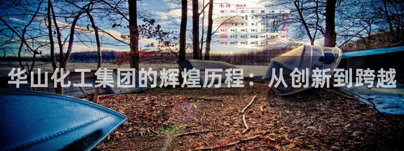 球盟会综合体育平台怎么样：华山化工集团的辉煌历程：从创新到跨