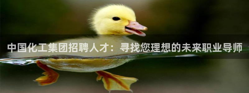 球盟会APP官网：中国化工集团招聘人才：寻找您理想的未来职业