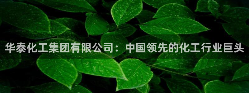 球盟会综合体育平台怎么样：华泰化工集团有限公司：中国领先的化