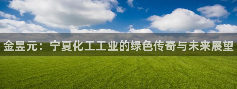 球盟会电子好黑：金昱元：宁夏化工工业的绿色传奇与未来展望