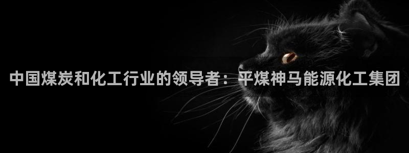 球盟会app安装：中国煤炭和化工行业的领导者：平煤神马能源化
