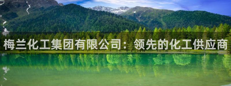 球盟会出款黑了：梅兰化工集团有限公司：领先的化工供应商