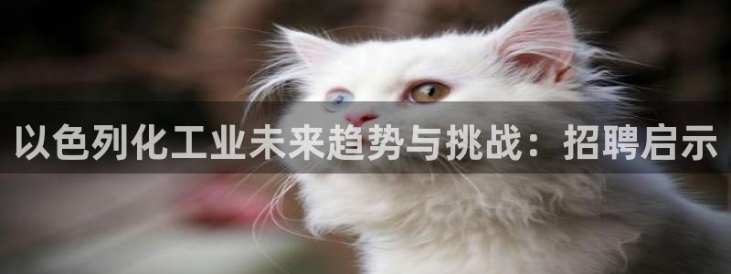 球盟会里面有打牌的嘛知乎：以色列化工业未来趋势与挑战：招聘启