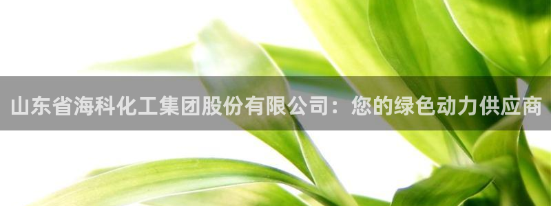 球盟会封号：山东省海科化工集团股份有限公司：您的绿色动力供应