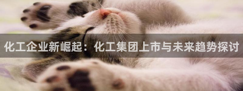 球盟会综合体育平台：化工企业新崛起：化工集团上市与未来趋势探