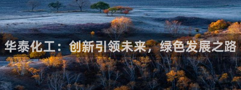 球盟会能提现吗是真的吗