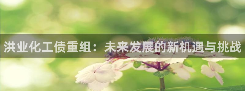 球盟会进不去吗