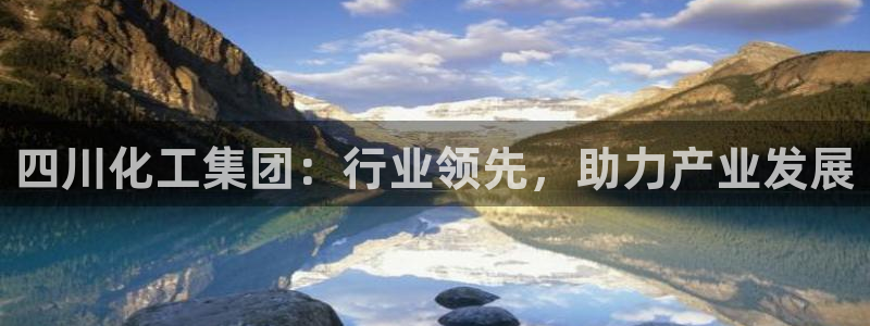 球盟会网页登录入口：四川化工集团：行业领