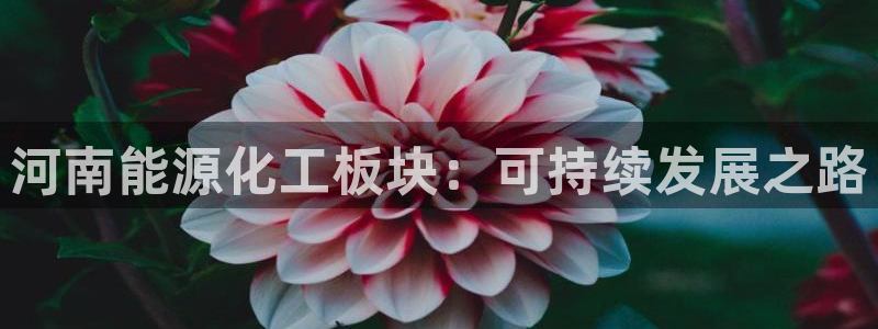 球盟会qmh官网：河南能源化工板块：可持