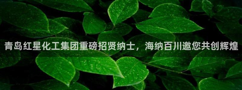 球盟会可以提现么现在