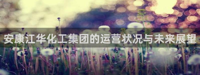 球盟会电子好黑：安康江华化工集团的运营状