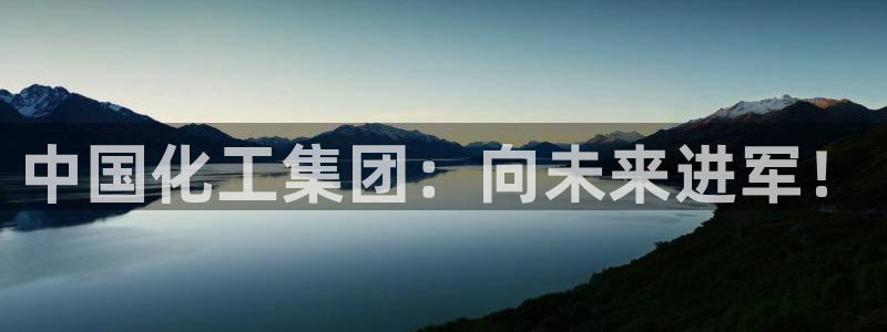 球盟会网页登录入口：中国化工集团：向未来