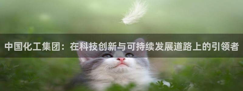 球盟会官方网站：中国化工集团：在科技创新