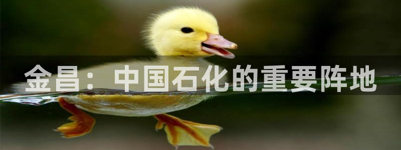 球盟会官方入口：金昌：中国石化的重要阵地