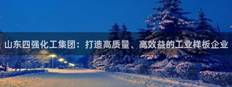 球盟会封号：山东四强化工集团：打造高质量