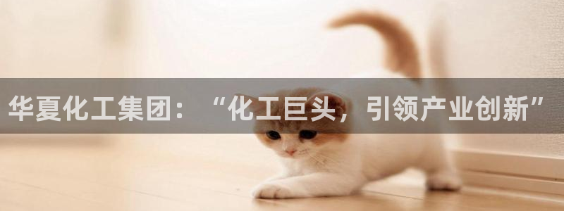 球盟会几点玩合适