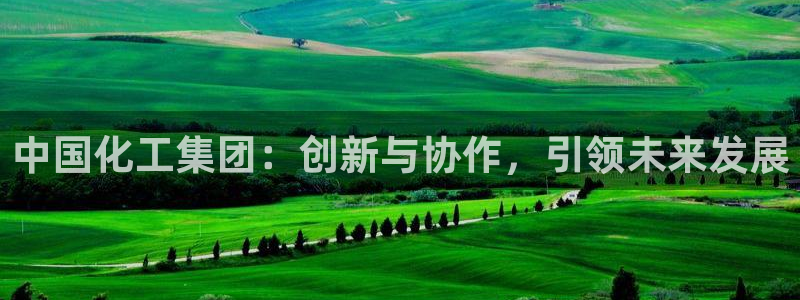 球盟会黑网：中国化工集团：创新与协作，引